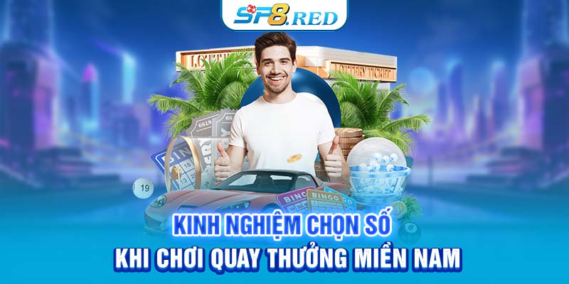 Cách tra cứu kết quả XSMT nhanh và tiện lợi